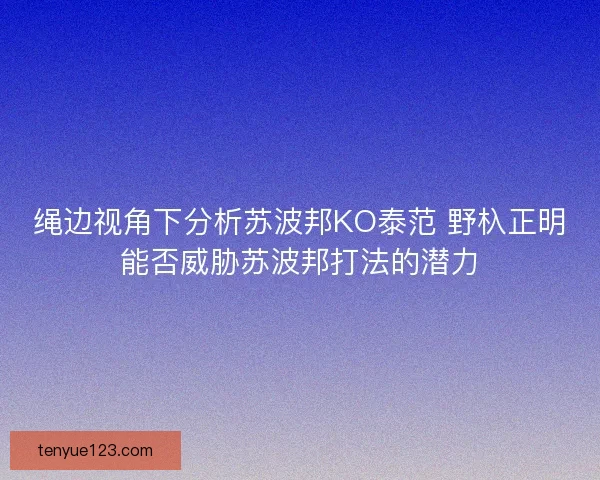 绳边视角下分析苏波邦KO泰范 野杁正明能否威胁苏波邦打法的潜力